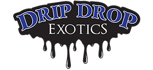 Drip Drop Exotics