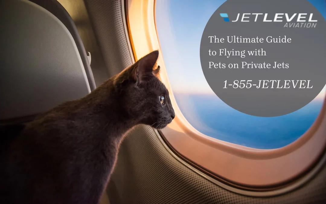 The Ultimate Guide to Flying with Pets on Private Jets