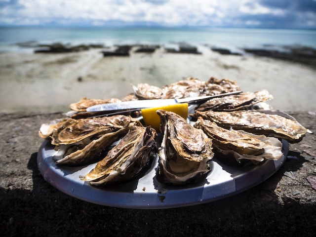 oyster france