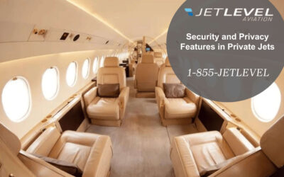Security and Privacy Features in Private Jets